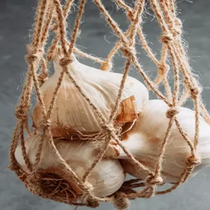 Garlic- 32mm