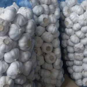 Garlic- 35-40 mm