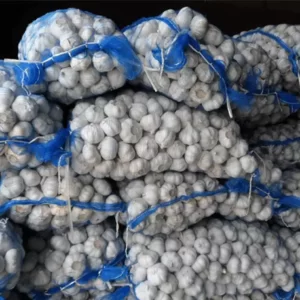 Garlic 40-50mm