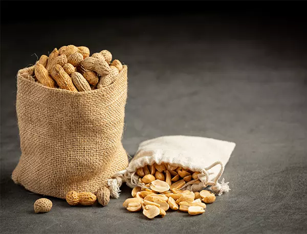 Groundnut Seed Premium