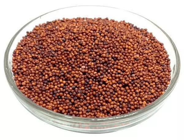 Ragi Seed Min