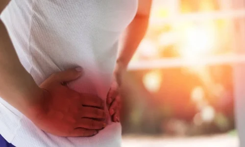 Digestion Digestion