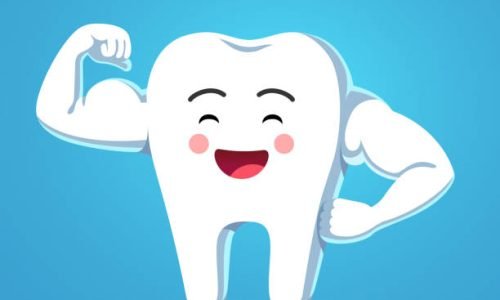 Strong teeth Cheerful funny cartoon tooth character showing sturdy enamel biceps. Strong and healthy bodybuilder tooth metaphor. Motivational clipart. Children dentistry character. Flat vector isolated illustration